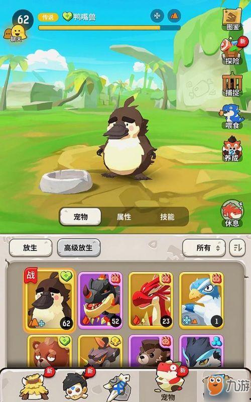 骑宠物视频,跟随萌宠的脚步，畅游美好时光